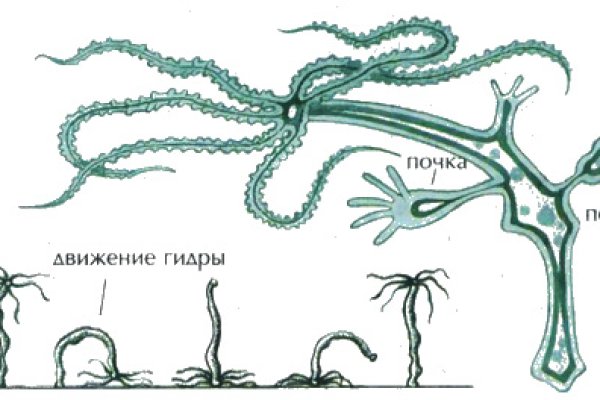 Новая ссылка кракена