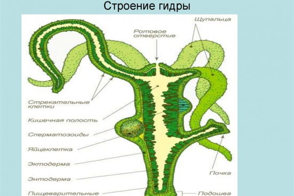 Кракен сайт с наркотиками